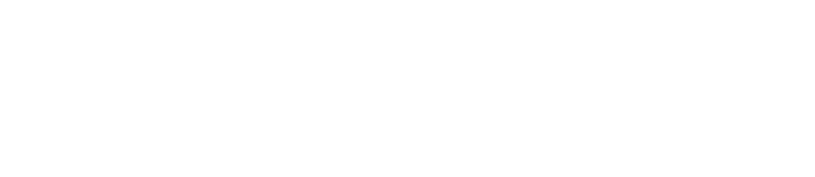 Liger Info Solution